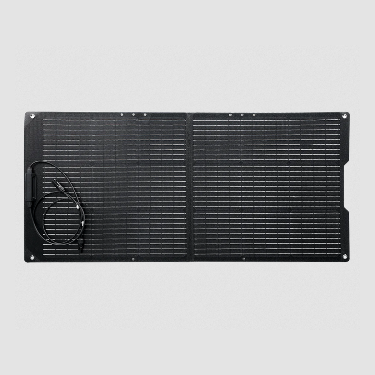 Growatt Vita 550 mit Solarpanel