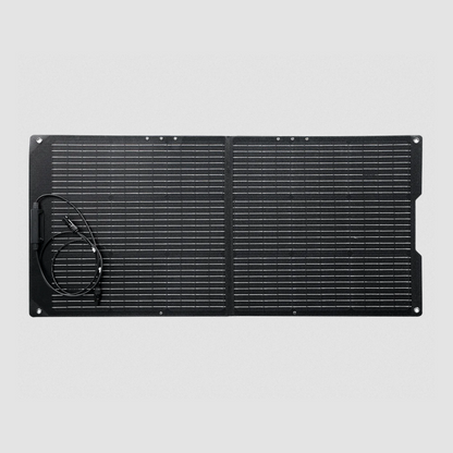Growatt Vita 550 mit Solarpanel