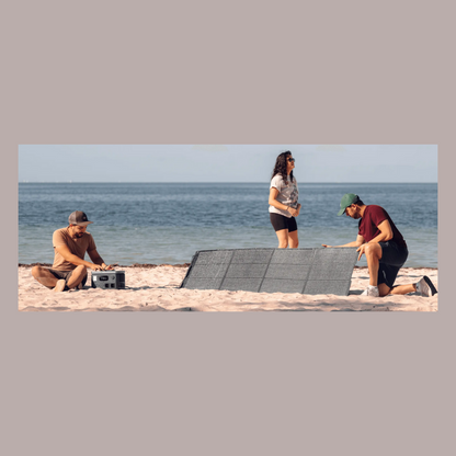 Growatt Vita 550 mit Solarpanel